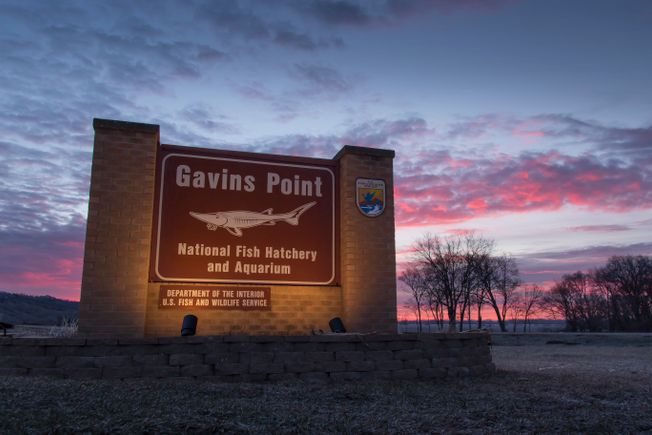 Hatchery sign sunrise feb 26 2016