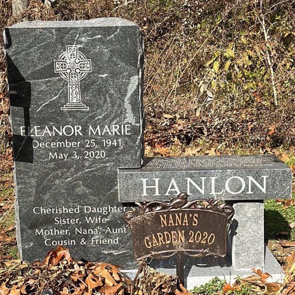 Hanlon set