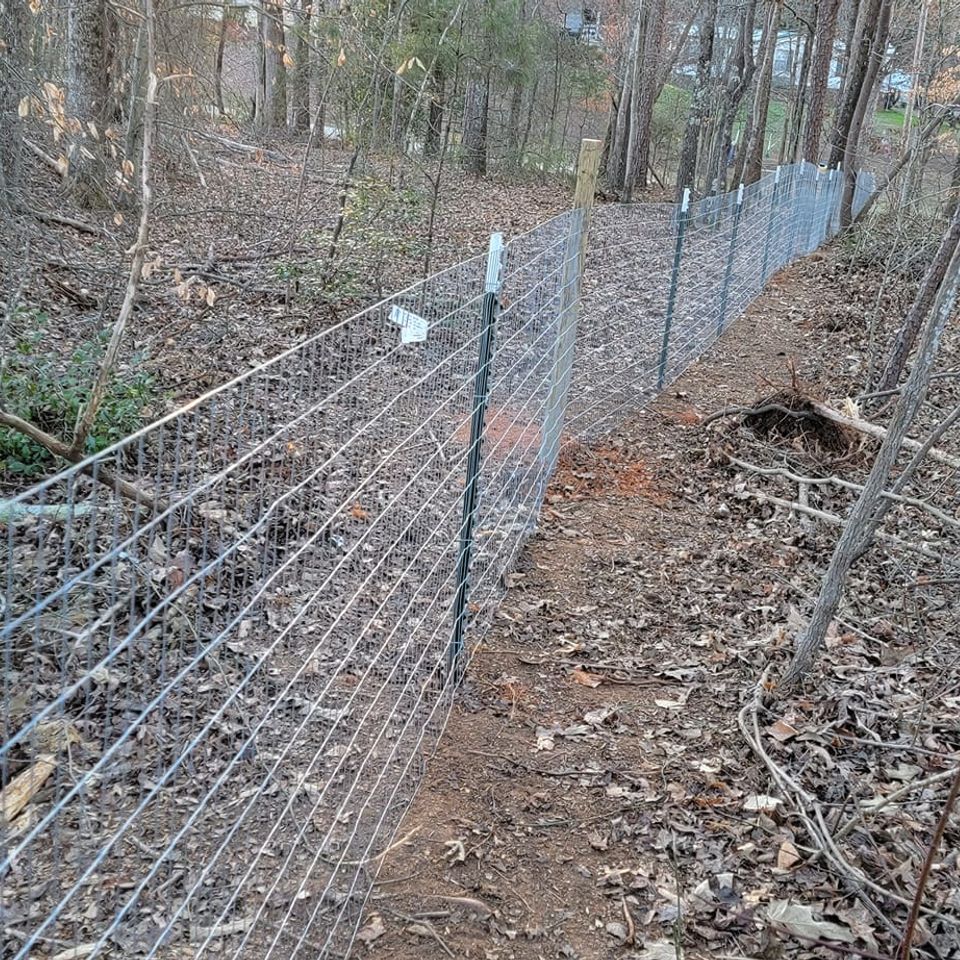 270822177 597546964915808 6355036139427699737 n min