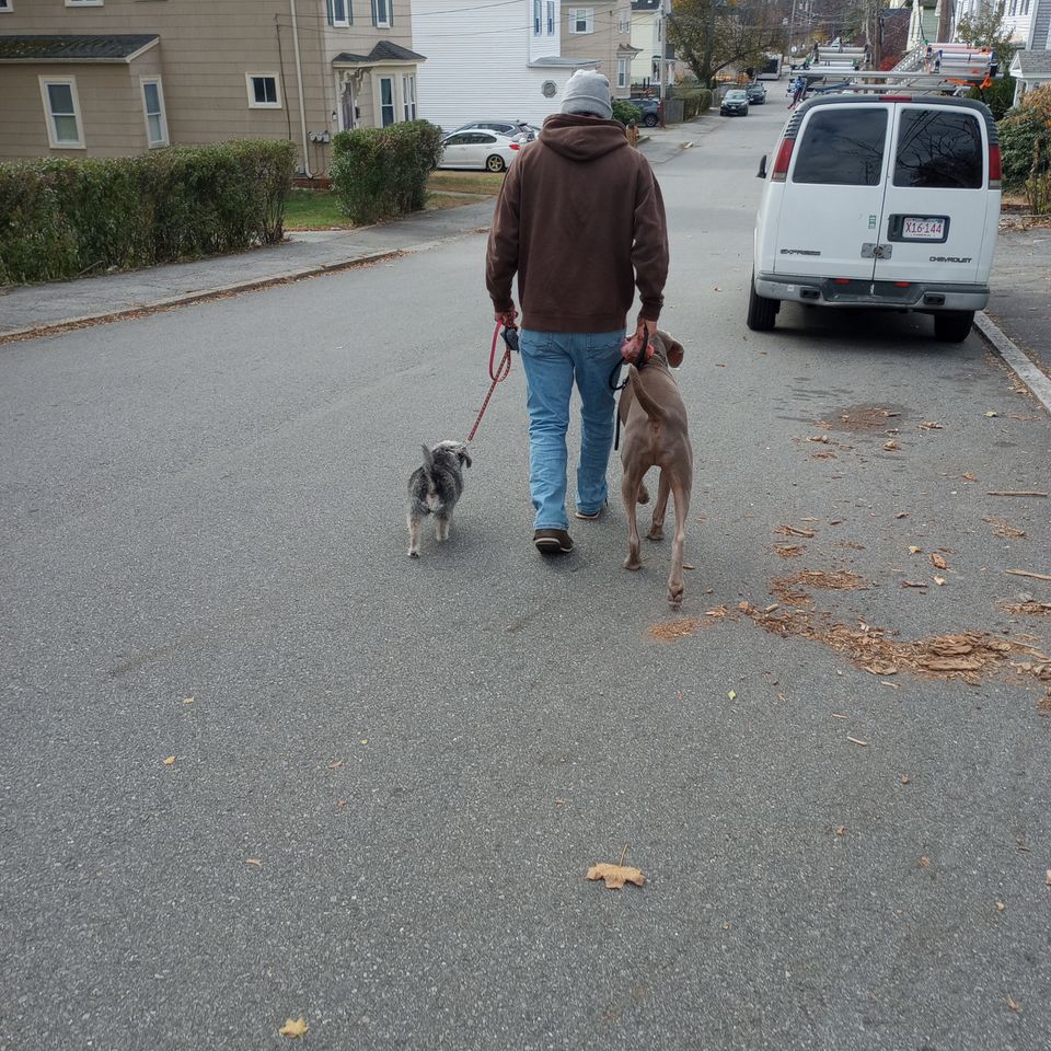 Img 20231112 112550079