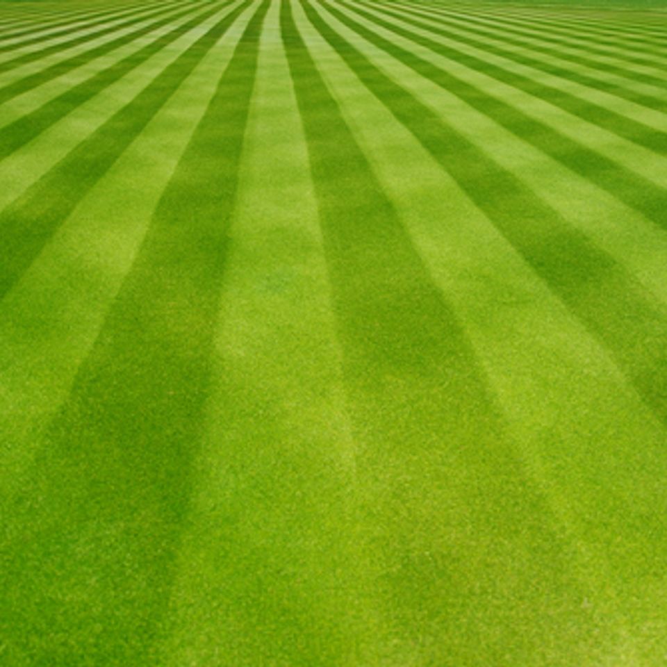 Shutterstock 188256788