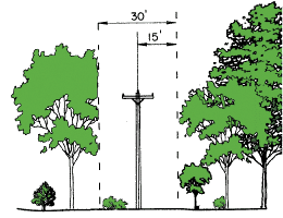Tree trimming graphic