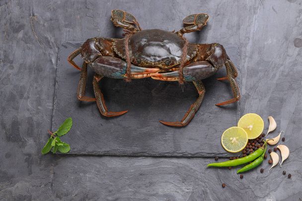 Stock photo live mud crab arranged slate garnished oil lemon slices green