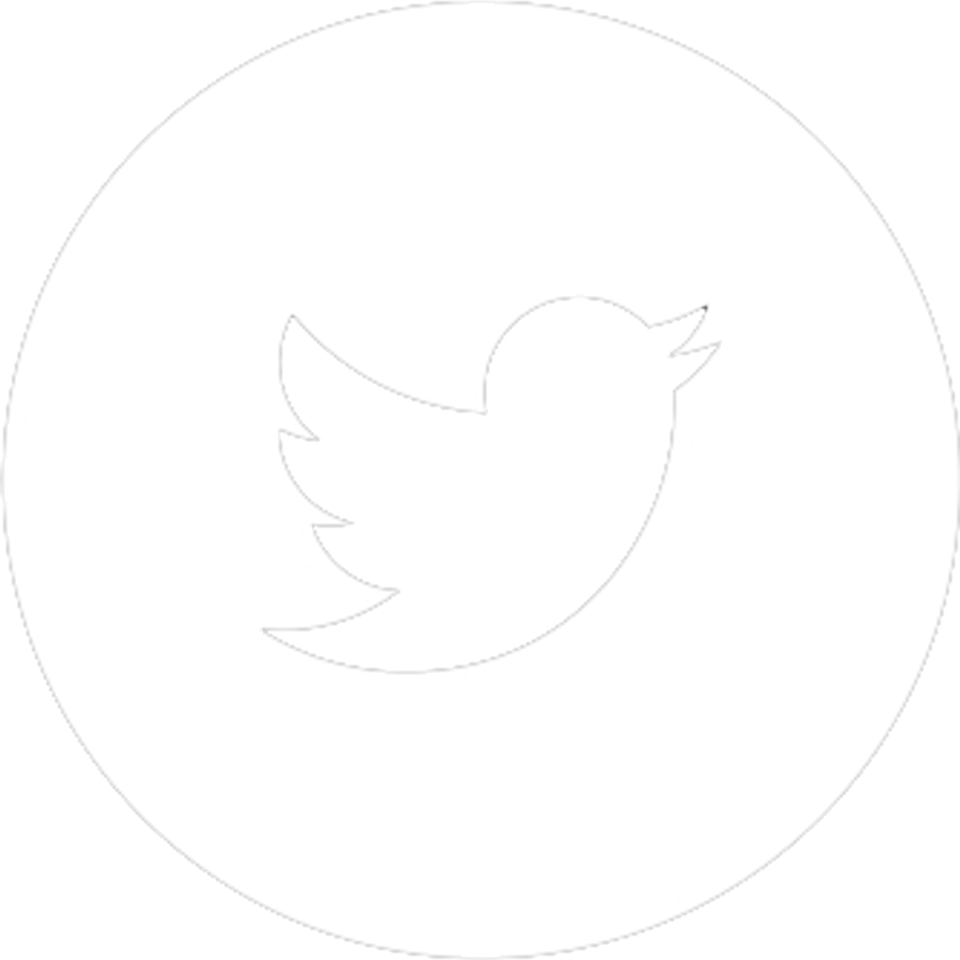 913515 twitter circle png.png