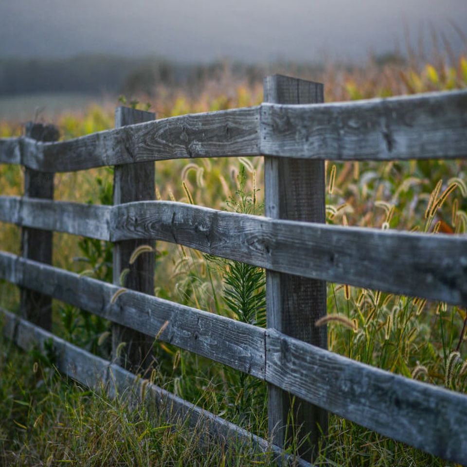 Boundary setting