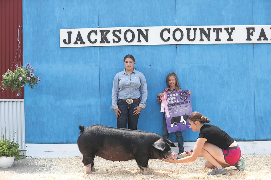Web fmn lead swine feature nelson 9097