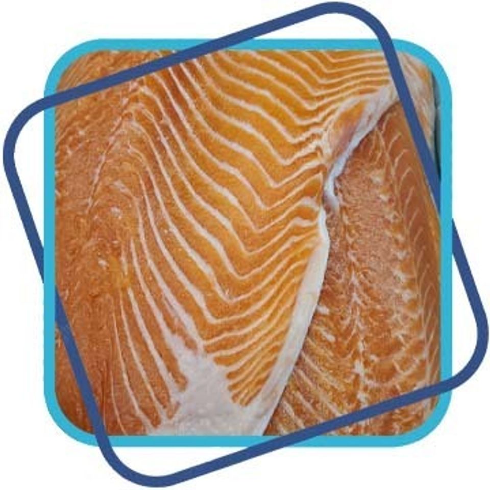 Fresh fish square