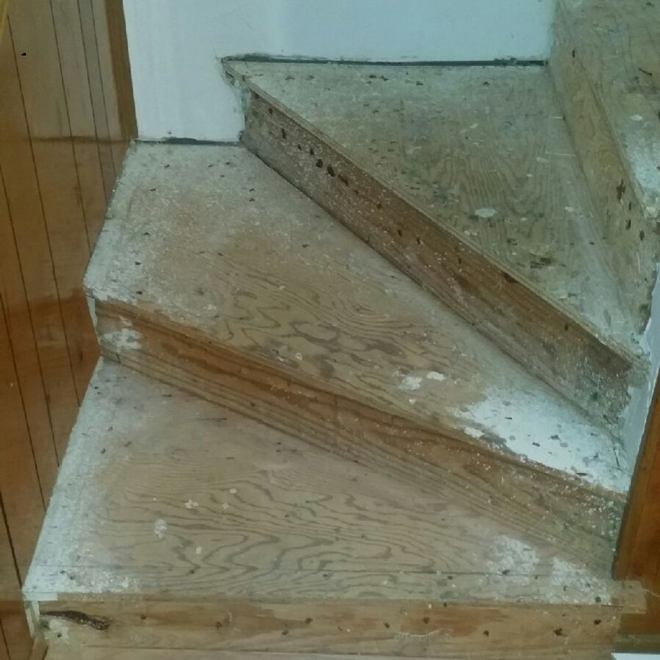 4104181 original sa flooring20160408 32194 s6xc5