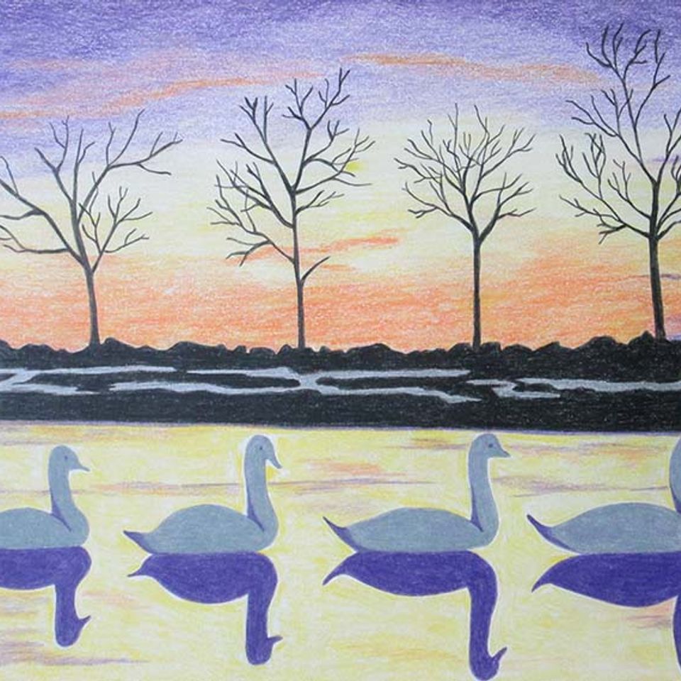 Swans dwg