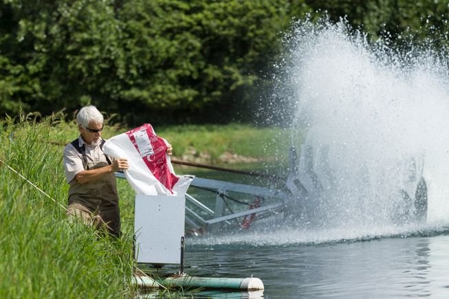 Pond feeder july22 2019 7