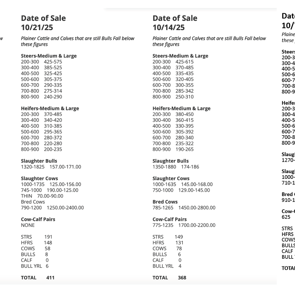 Screenshot 2025 11 05 at 9.38.04 am