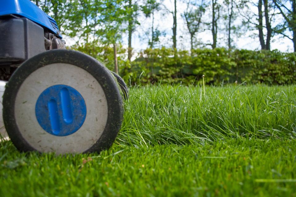 Lawnmower 54e7dd454f 1920