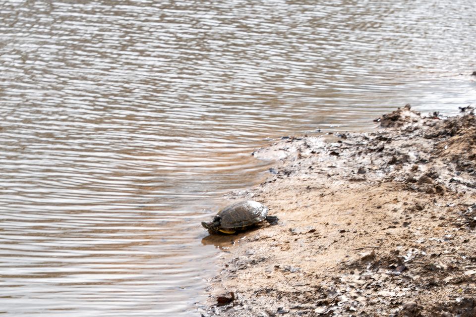 Dsc03519 enhanced nr