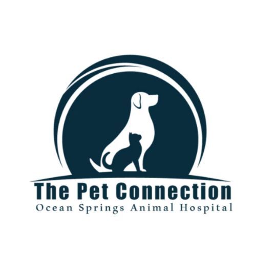 The pet connection original original