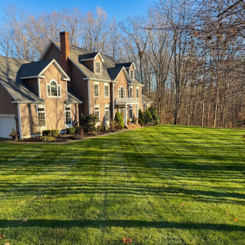 Beautiful Front lawn RJ Landscaping