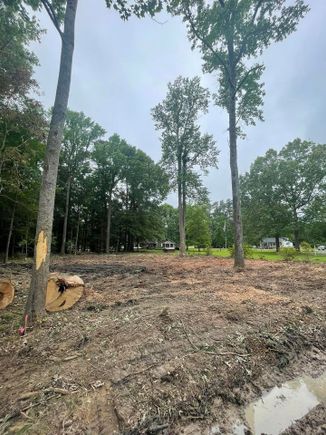 Lot clearing 4