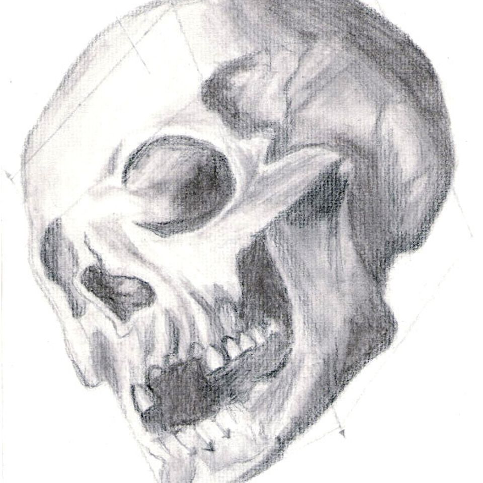 18portfolio sketch skull  converted 20170220 7012 1xqgsnr