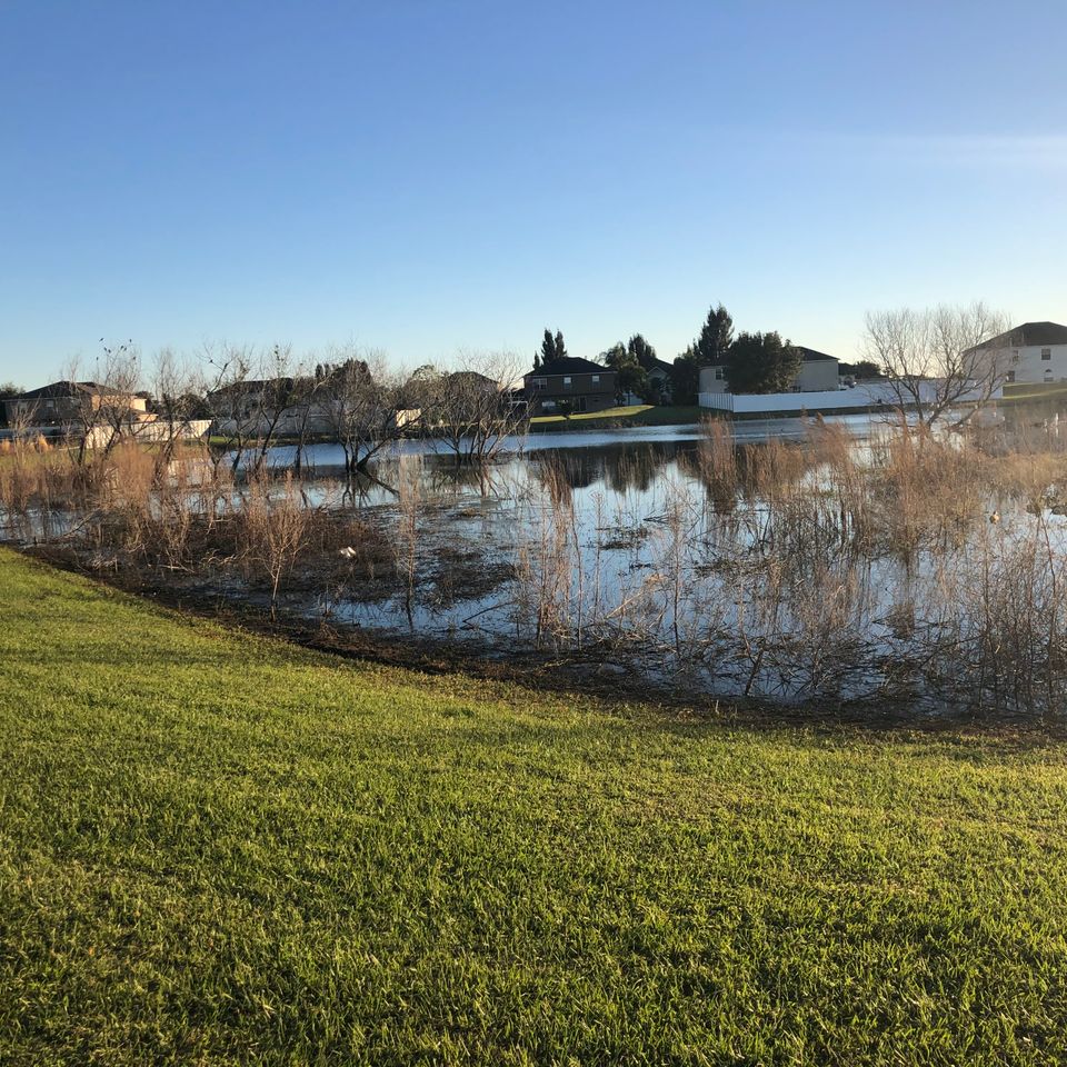Hoa pond maintenance before