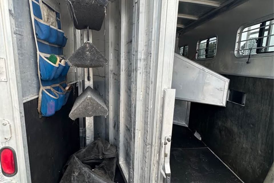 558771053 25449431197992789 3168524036533405376 n