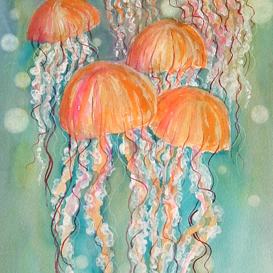 Pretty swimmers