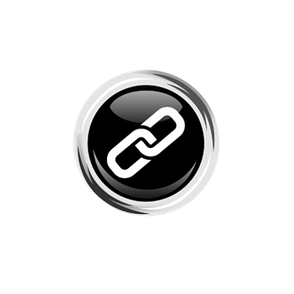 L1