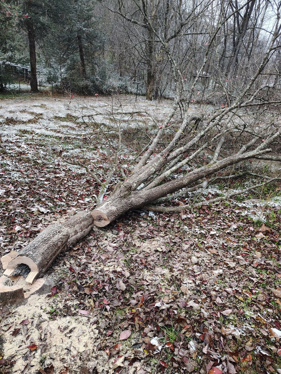 581280179 122102904345107789 9218229517983768070 n original