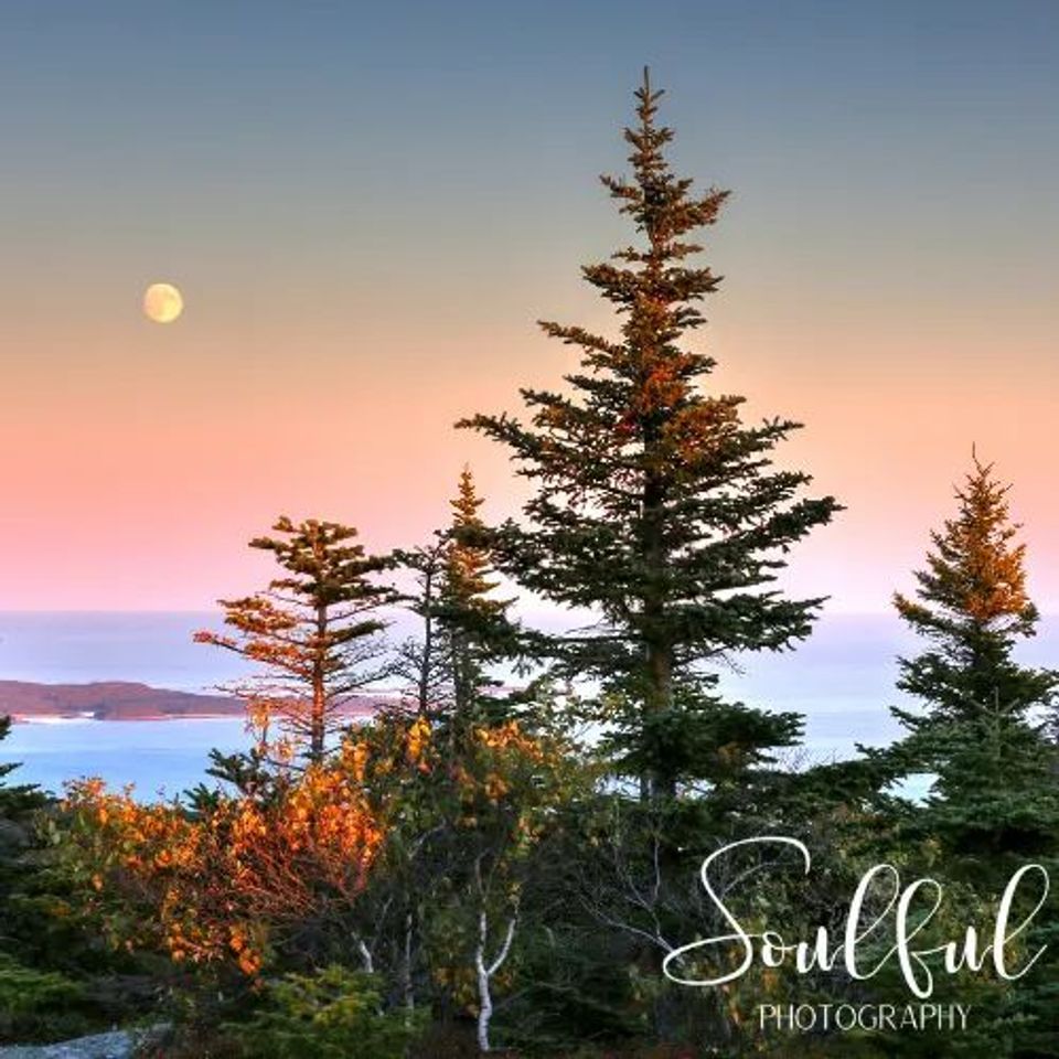 Soulful (500 x 500 px) original original