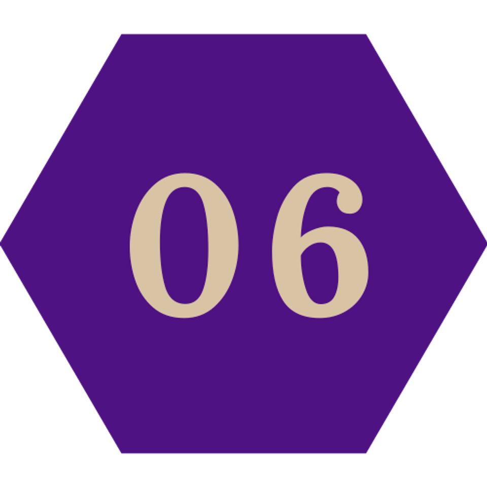6