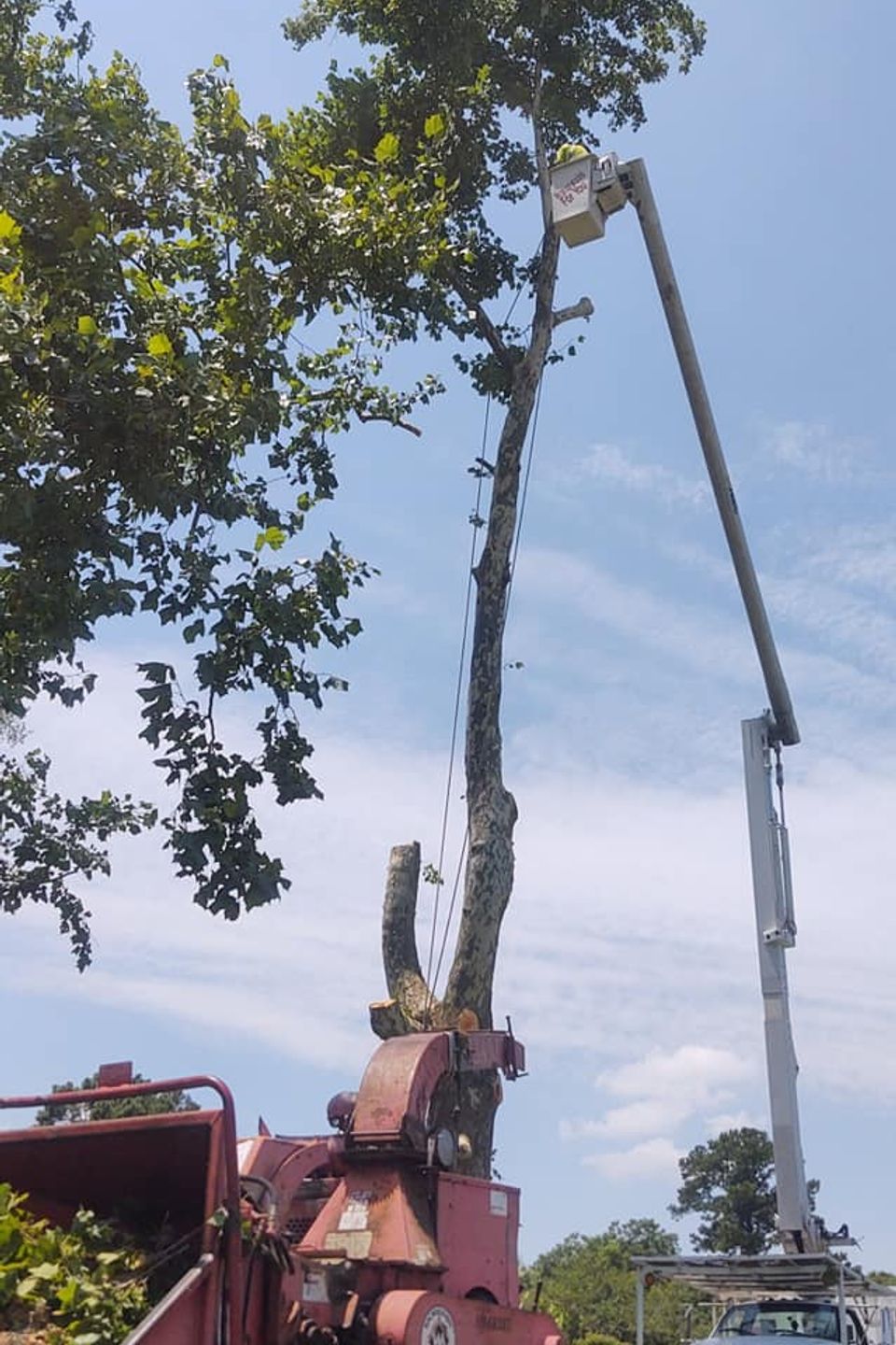 110334896 579860039344144 6535281567085044299 n