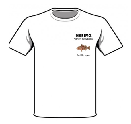 Screenshot 2025 10 27 090024