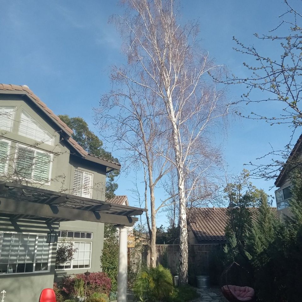 O   2024 04 17t154353.880