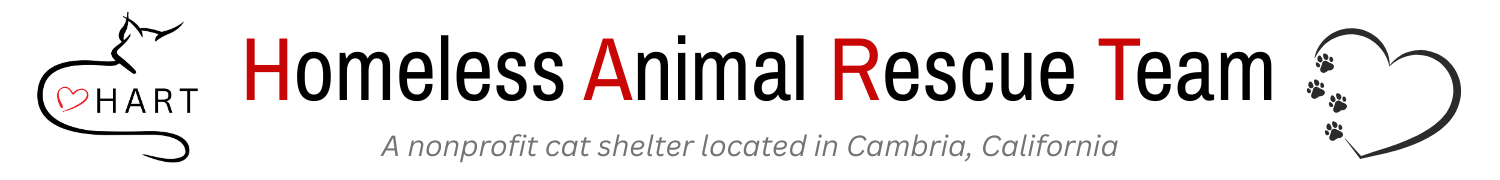 Homeless Animal Rescue Team