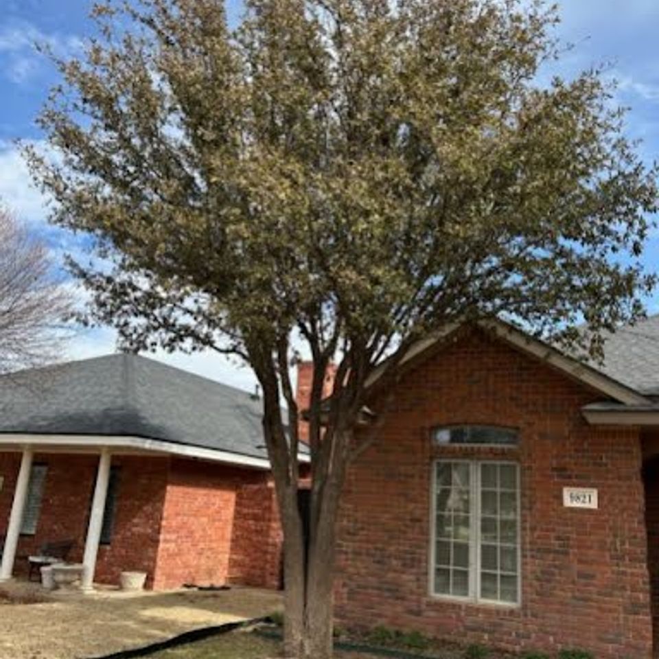 7edf4a5fc82fd663fc799ce7cebac2dce7b2c8ab 10