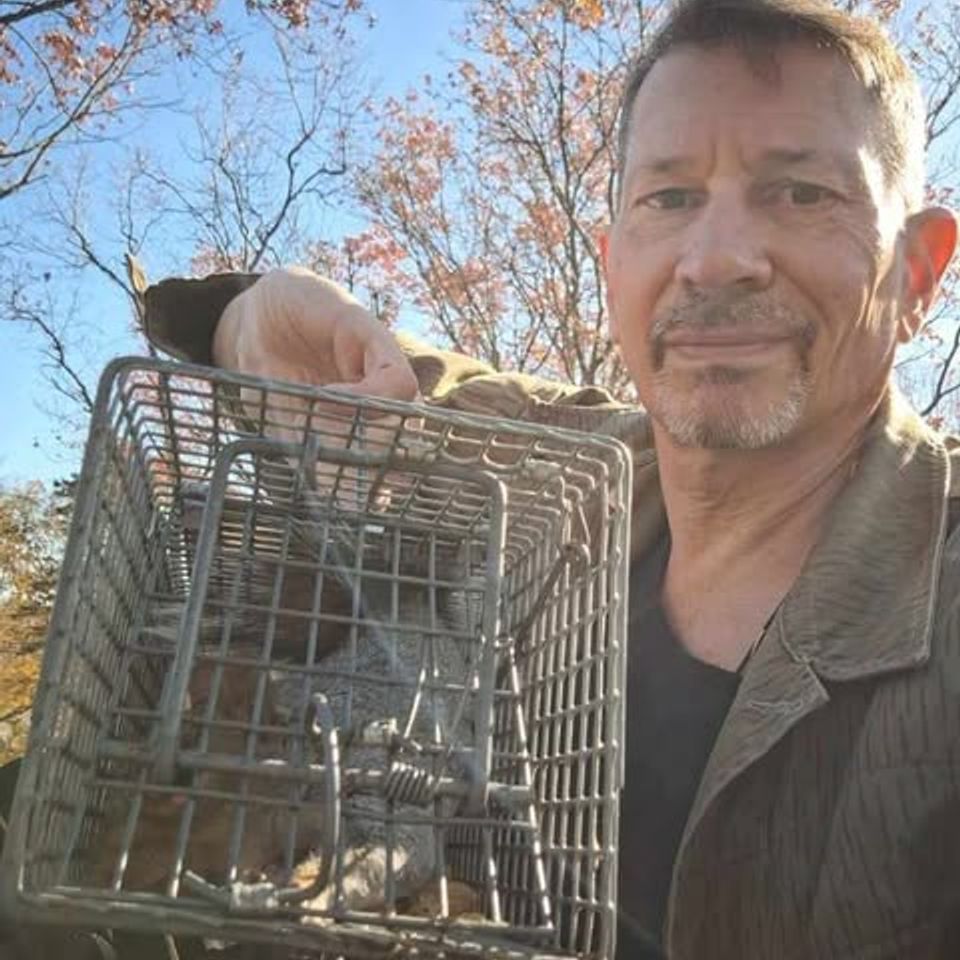 Long Island Wildlife control