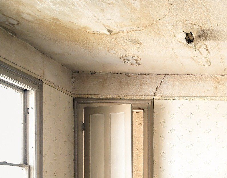 Water Damage Wall Repair in Boise Idaho