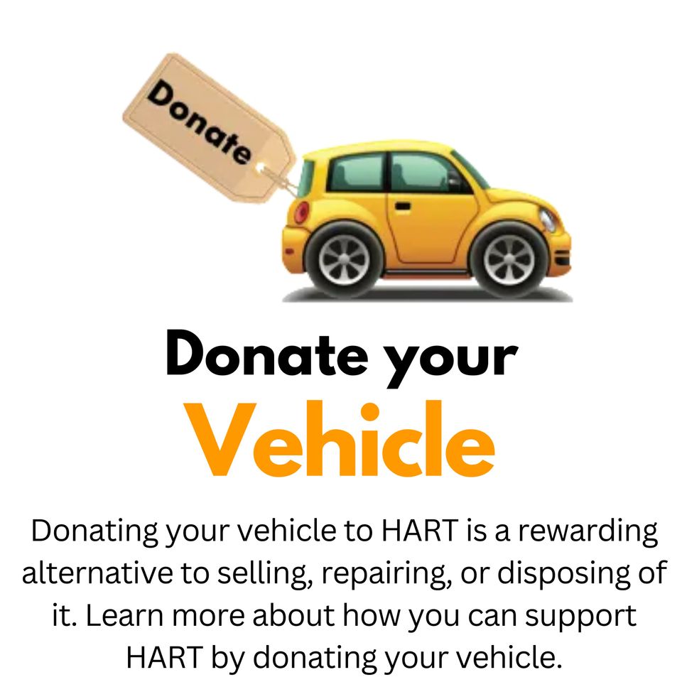 Donate to (instagram post) (1)