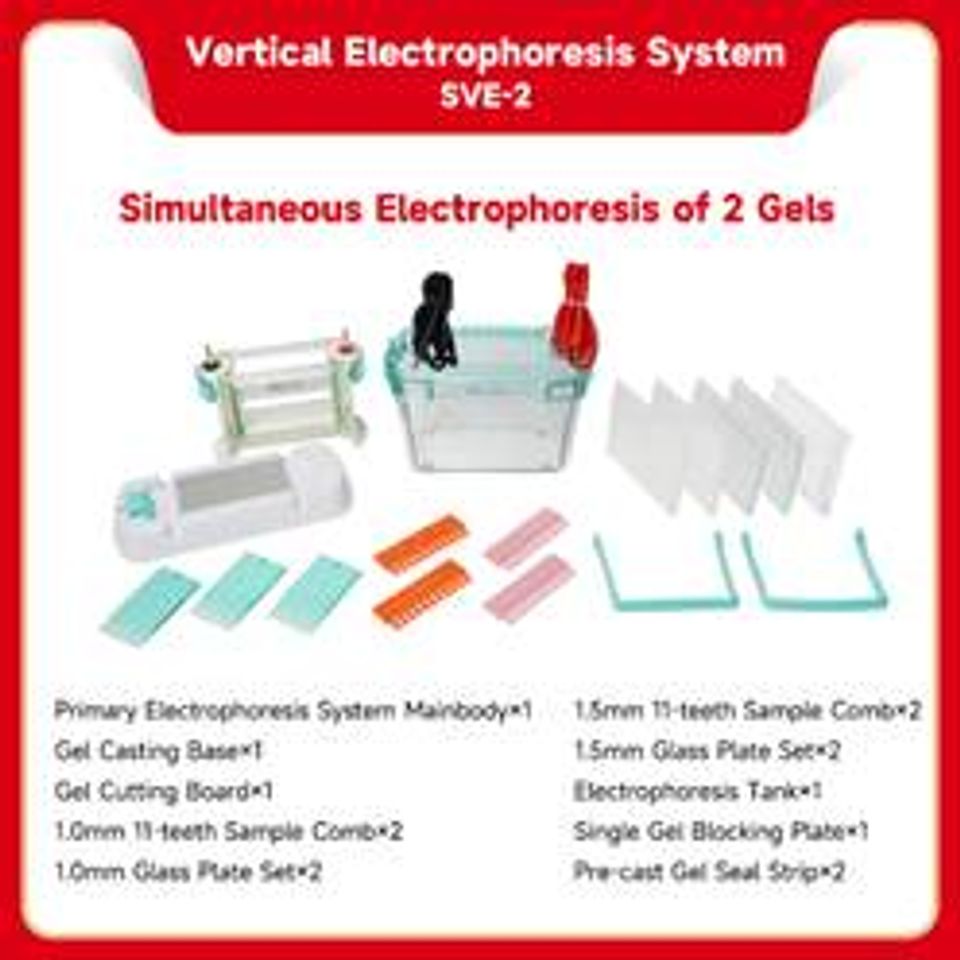 Vertical electrophoresis system be sve 2 1
