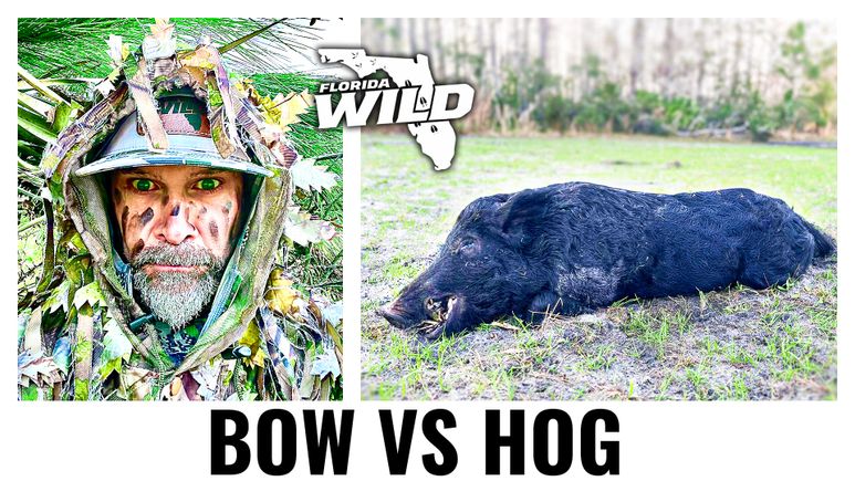 Brian (bow vs hog) thumbnail updated
