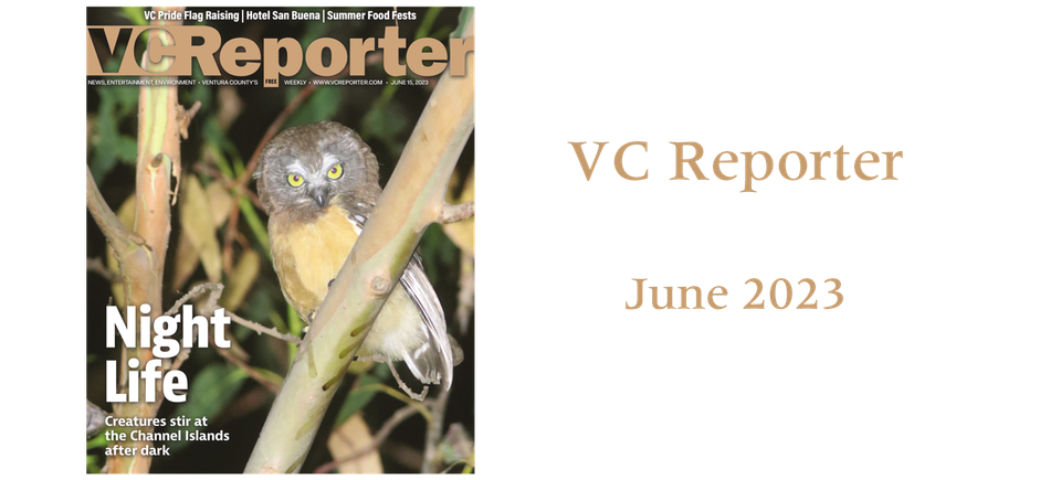 Vc reporter june 2023