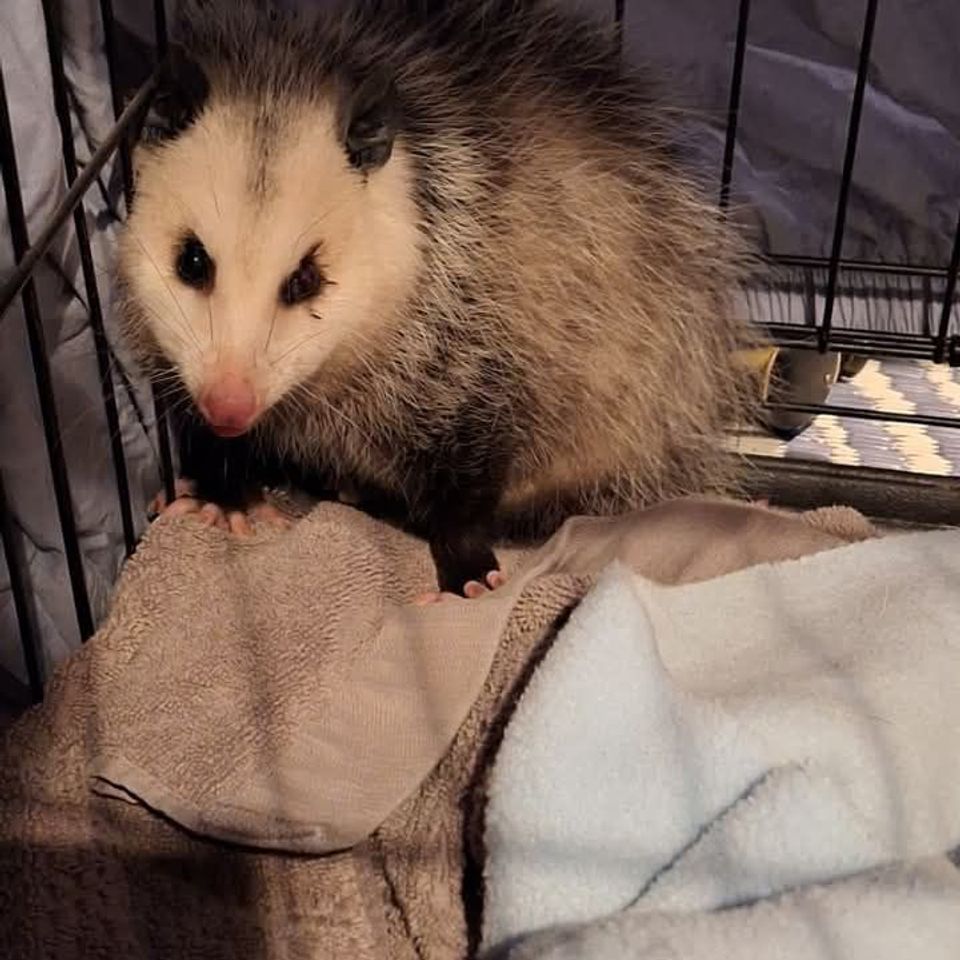 481998657 981688850773340 747339716633802827 n