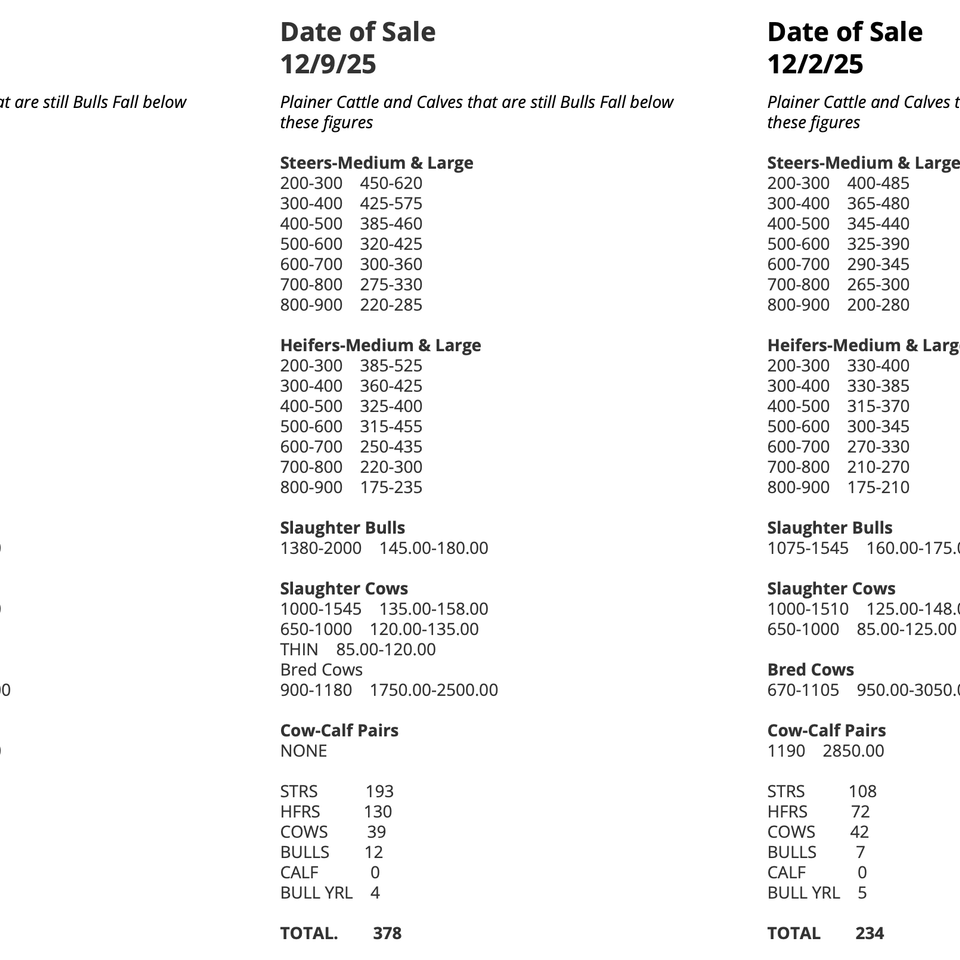 Screenshot 2026 01 19 at 9.53.48 am