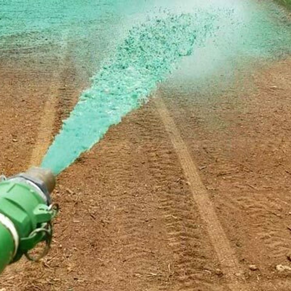 Where to hydroseed