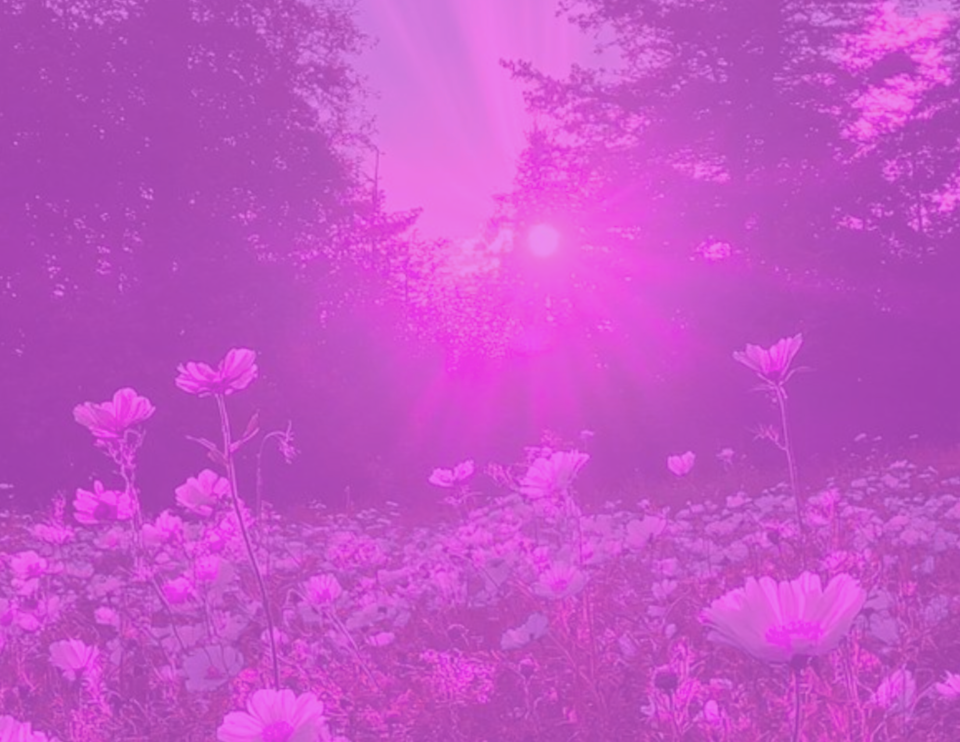 Trust god’s timing (11)