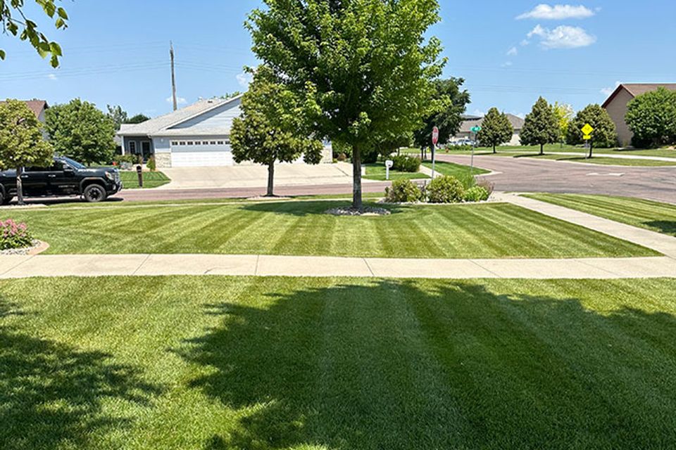 Grizzly lawn care 1