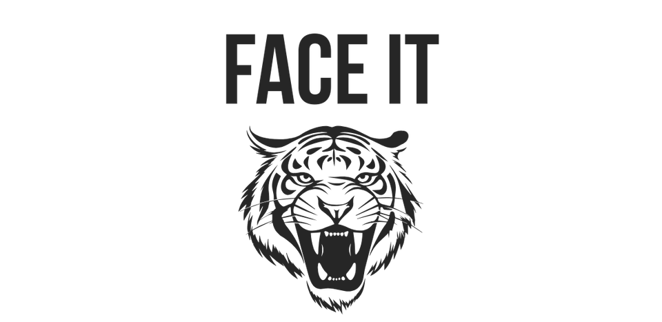 Tiger tamers   website