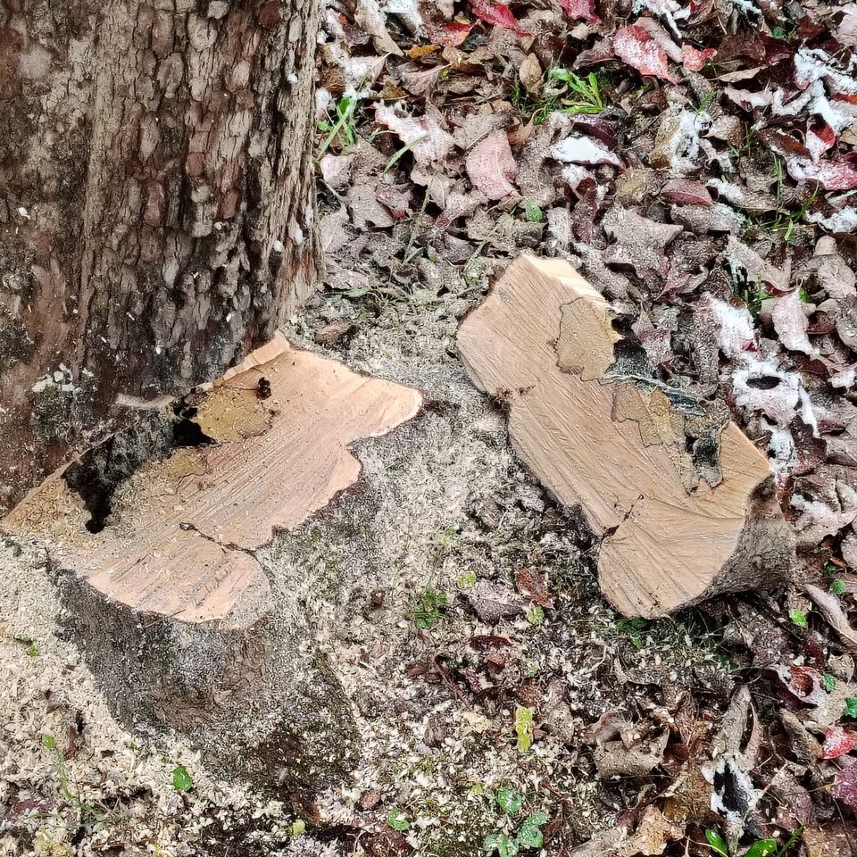 581107558 122102904483107789 6002532197173309164 n