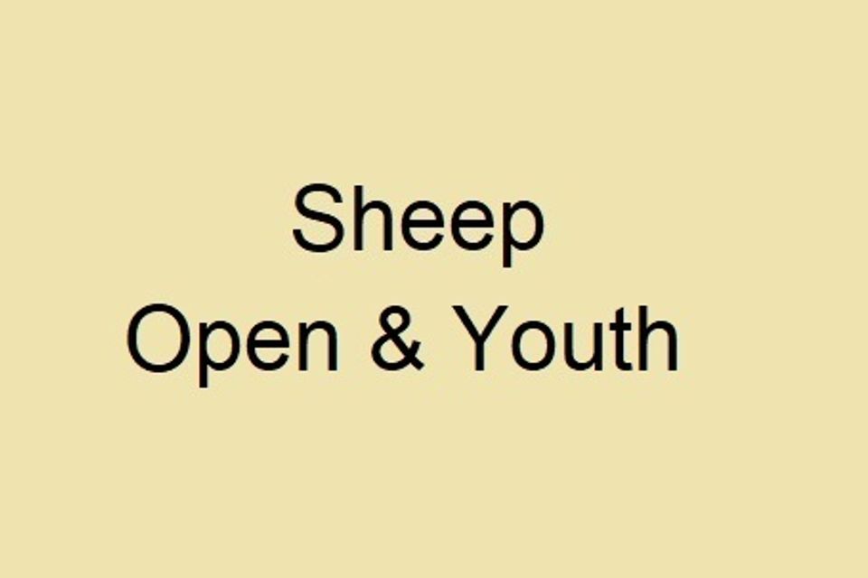 7e o sheep