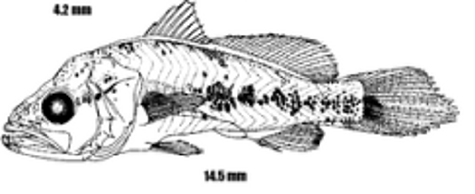 Screenshot 2025 10 15 140805