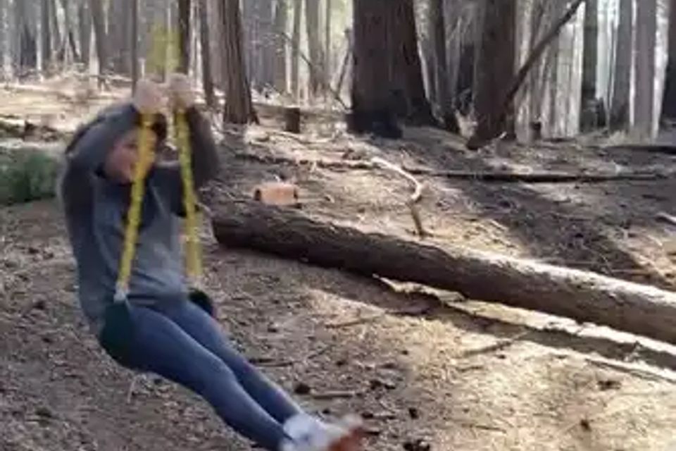 Unplug for nature dogs and kids family dog cabin private 5 acres northern california (4)