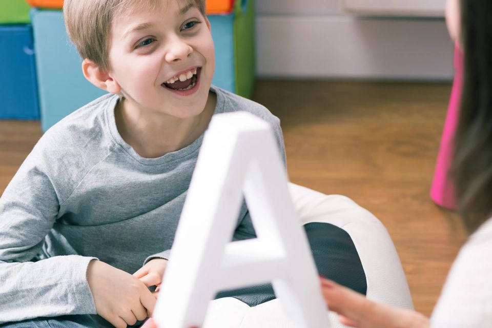 Language Development